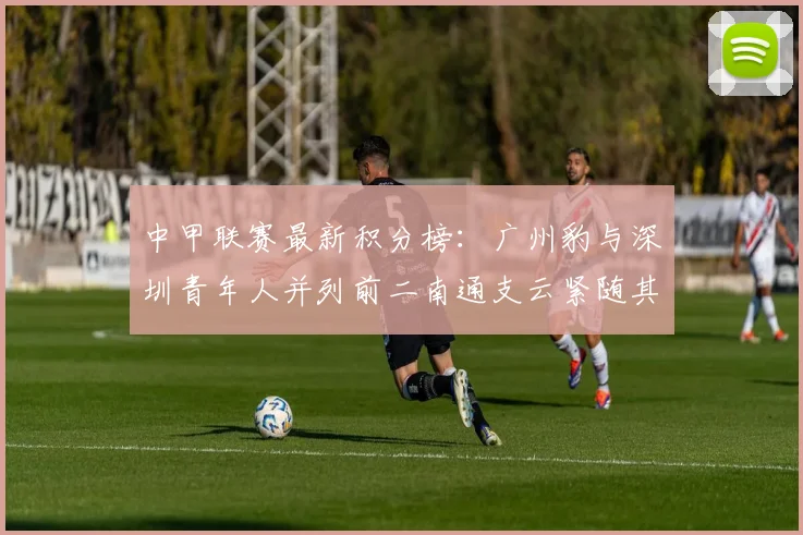 中甲联赛最新积分榜：广州豹与深圳青年人并列前二南通支云紧随其后