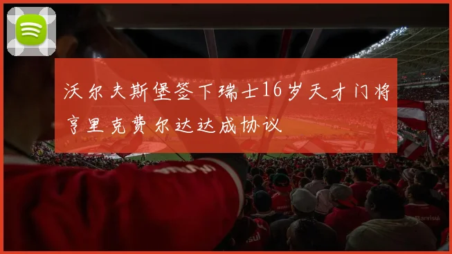 沃尔夫斯堡签下瑞士16岁天才门将亨里克费尔达达成协议